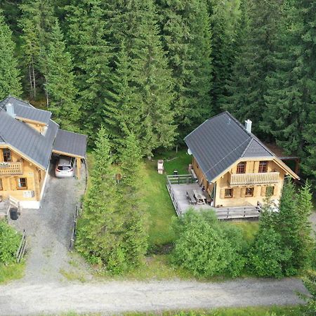 Almhaus & Almchalet Flattnitz Bagian luar foto